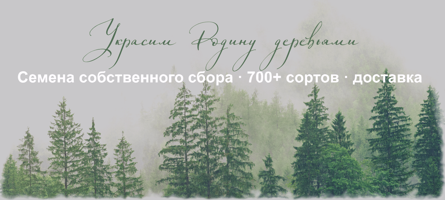 Семена редких растений и саженцев — опт и розница