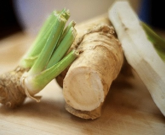 Катран, многолетний, морозостойкий, съедобный корень, лекарственный, декоративный, высокоурожайный, неприхотливый - фото 11774