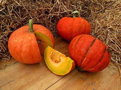 Тыква Конфетка, урожайная, скороспелый столовый сорт, крупноплодная, сладкая мякоть, плетистая 4050