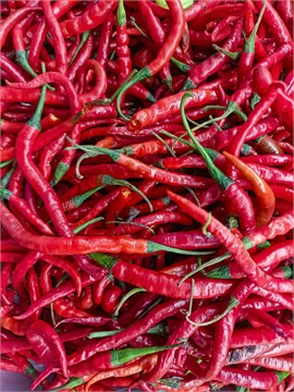 Перец Кашмирский F1, высокоурожайный, низкая острота, ароматный, пряная специя, натуральный краситель 3985