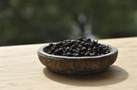 Литсея кубеба, декоративная, эфиромасличная, лекарственная, специя, ценная древесина 3299
