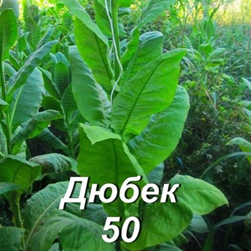 Табак Дюбек 50