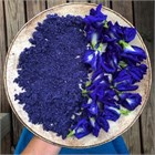 Клитория тройчатая, синий тайский чай, декоративная лиана, натуральный краситель, комнатная 4018