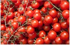 Томаты черри красные, высокоурожайные, комнатные, сладкие 4048