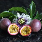 Пассифлора съедобная (пурпурная), декоративная, вечнозеленая лиана, лекарственная, комнатная 3147