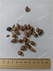 Арека Дипсис, декоративная пальма 3445