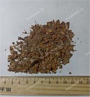 Лагерстремия (сирень) превосходная Speciosa 3964
