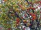 Земляничник крупноплодный, вечнозеленый, съедобный, медонос, бонсай - фото 5549