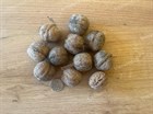 Грецкий орех Идеал Саратовский, морозостойкий, вкусный, скороплодный, высокая урожайность - фото 8481