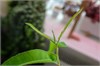 Андрей Цигичко
