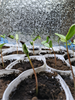 Марина Чумакова
